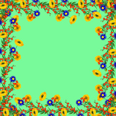 Vector - fieldflower frame in watercolor.