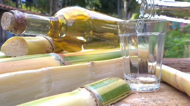Brazilian drink known as Cacha&ccedil;a, "pinga", cane or distilled sugar cane. Name given to cognac produced in Brazil. It is used in the preparation of the caipirinha known worldwide.