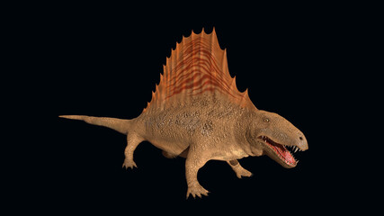 Dimetrodon (Early Permian)