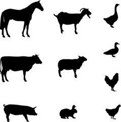 Silhouettes of farm animals on a farm. Horse, cow, pig, sheep, goat, chicken, Rooster, rabbit, duck, goose. Black silhouettes of animals isolated on a white background. Vector icons of livestock.