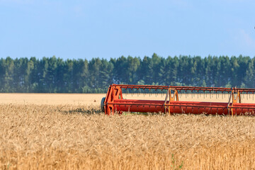 Fototapeta premium Harvesting on a sunny summer day. The combine harvester goes through the field cutting off ears of wheat. Reaper close-up. The concept of agriculture and farming