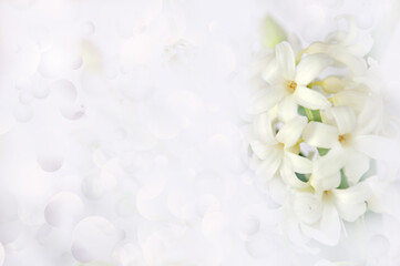 Obraz na płótnie Canvas Greeting card with Spring white flowers, light gray blurred background and free space for your text