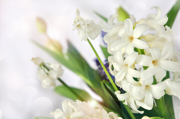 Spring flowers with light gray blurred background