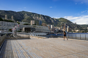 Obraz premium View of the Principality of Monaco and Montecarlo