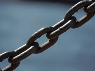 Sea chain on the background of water. Macro photography with a blue background.