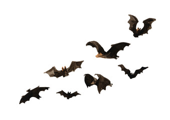 Flying bat set. Hand drawn watercolor illustration, isolated on white background