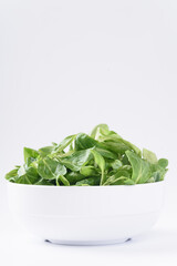 Fresh corn salad leaves on a white background. The concept of lettuce is rich in vitamins, beneficial for health as an ingredient in vegetarian food.