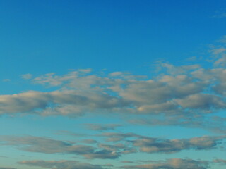 Obraz premium The sky in St. Petersburg. The sky with various clouds is pale gray in color. At sunset.