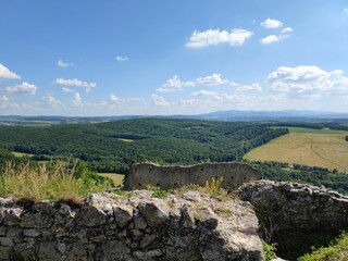 landscape in the summer