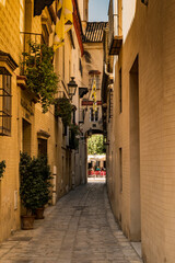 Fototapeta na wymiar Street of Seville