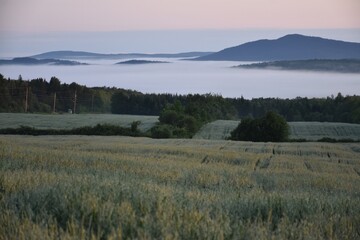 A misty morning on a July day, Sainte-Apolline, Québec, Canada