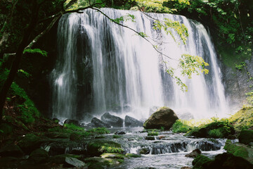 waterfall in the forest