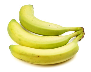 Three bananas close-up on a white background.