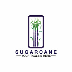 Sugar cane logo icon symbol vector illustration design template