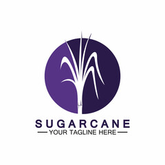 Sugar cane logo icon symbol vector illustration design template