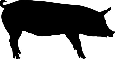 An isolated image of a pig. Creative graphic design for a butcher shop, farmer's market. Poster on the theme of animals. Black silhouette of a pig on a white background. A set of farm animals.
