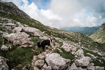 Dolomiti