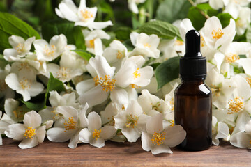 Jasmine essential oil and fresh flowers on wooden table, space for text