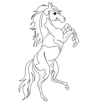 Coloring page with horse. Painting for children.