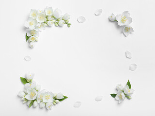 Fototapeta na wymiar Frame of beautiful jasmine flowers on white background, flat lay. Space for text