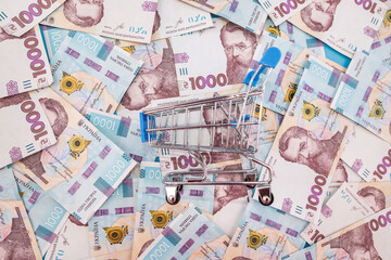 Obraz na płótnie Canvas shopping cart on hryvnia background.