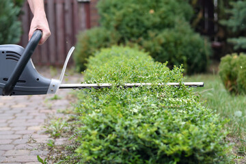 Hands holding electric hedge clippers for trimming green bushes. Selective focus. Low DOF.