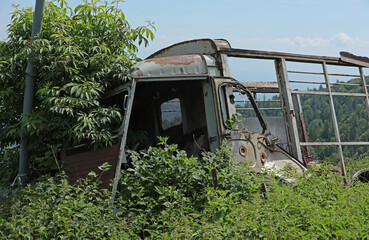 Wrecked car rusted in a meadow