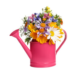 Pink watering can with beautiful flowers isolated on white