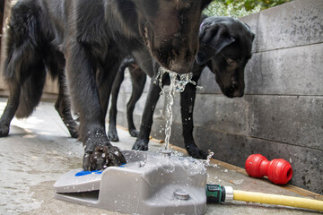 Spelen met water