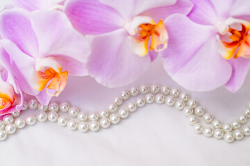 The branch of purple orchids on white fabric background
