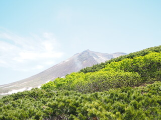 新緑の向こうに見える険しい山
