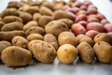 Potatoes, many different varieties of potatoes, organic produce spread on marble white background.