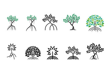 Various of mangroves tree, mangrove icon vector collections