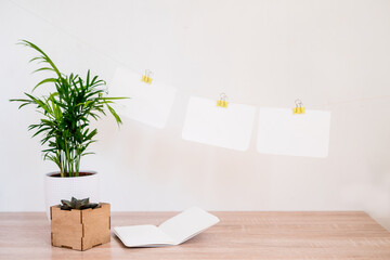 Portrait and square wooden picture frames mockups with palm and succulent. 
