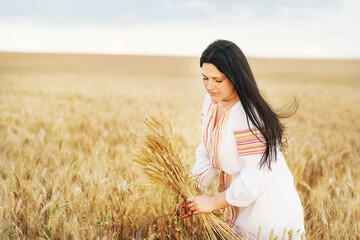 A girl in an embroidered traditional national dress with a sickle and cut wheat ears in a wheat...