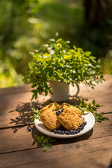 Cookies dessert with blueberries on wooden table outdoors