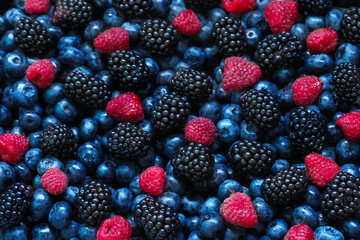 Forest berries, blueberries, blackberries, raspberries, close-up, top view. Colorful wild berries, harvest