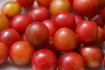 Red Prunus cerasifera is a species of plum known by the common names cherry plum and myrobalan plum. Rosaceae family.