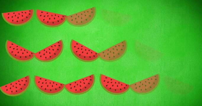 Animation of single watermelons floating on green background