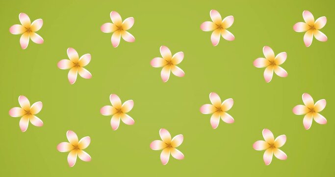 Animation of pink flowers spinning on green background