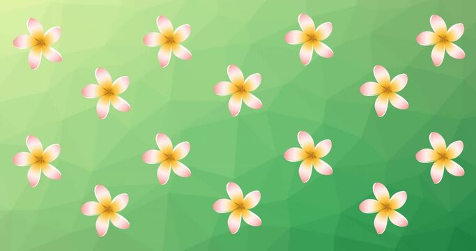 Animation of white flowers spinning on green background