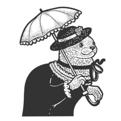 Otter lady dress cartoon animal sketch engraving vector illustration. T-shirt apparel print design. Scratch board imitation. Black and white hand drawn image.