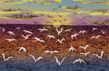 Naklejka na ściany i meble sunset birds illustration