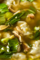 Homemade Asian Chicken Wonton Soup