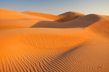 Fototapeta na wymiar Sand dunes in the Sahara desert