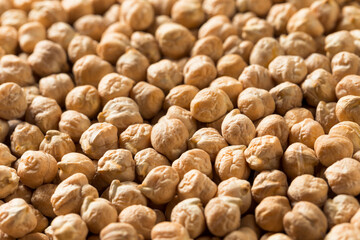 Dry Organic Chickpea Garbanzo Beans