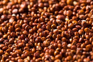 Raw Dry Organic Red Quinoa