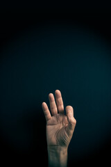 Colour image of hand demonstrating ASL sign language letter F with empty copy space