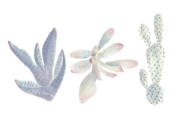 Set of pastel cactus on white background, watercolor hand drawn - 449015637