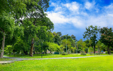 walkway in the park on sunny day with cloud sky,